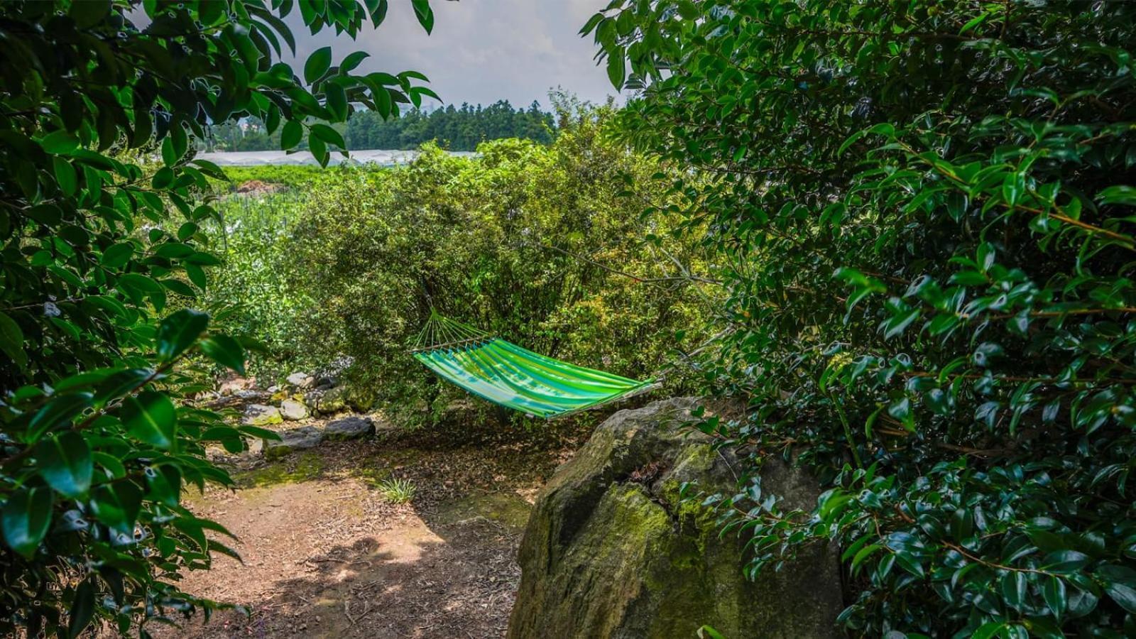 Jeju Eco Suites Seogwipo Bagian luar foto