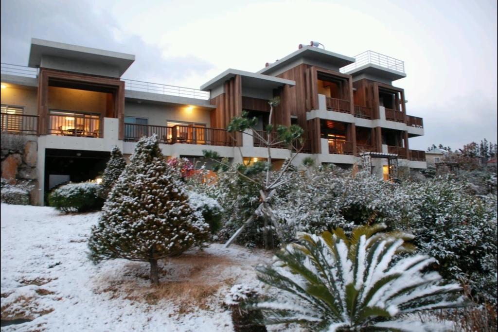 Jeju Eco Suites Seogwipo Bagian luar foto