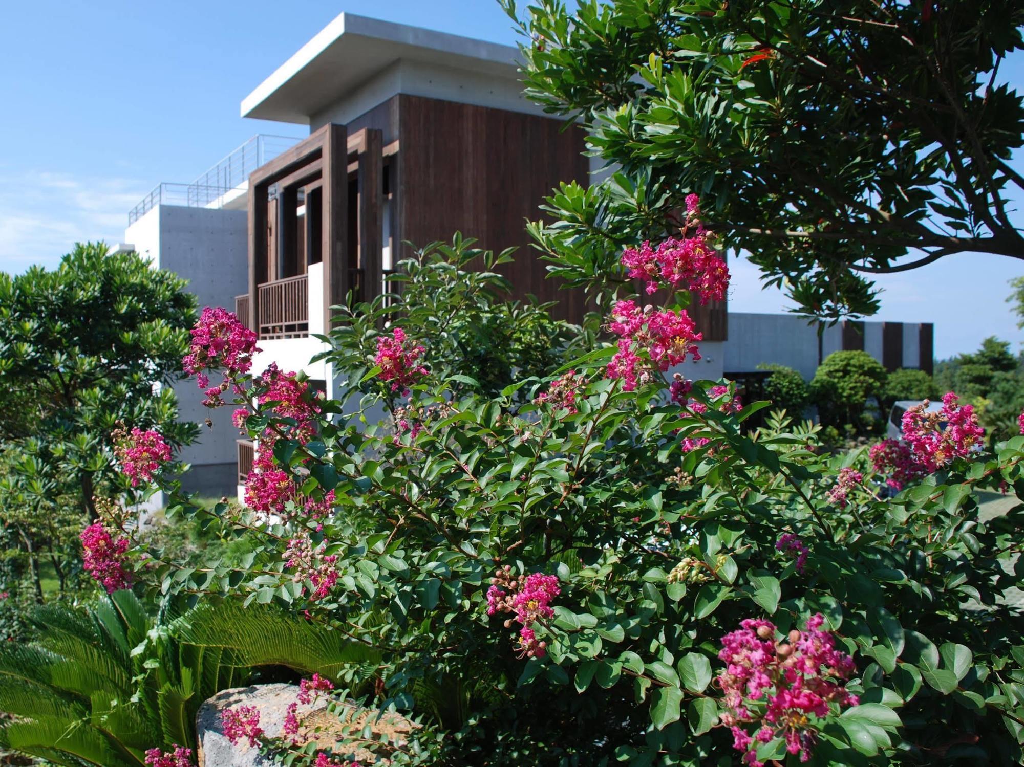 Jeju Eco Suites Seogwipo Bagian luar foto